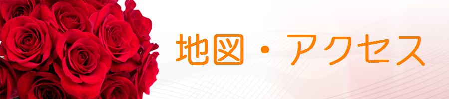 NjbN,ANZX,n},ޗ